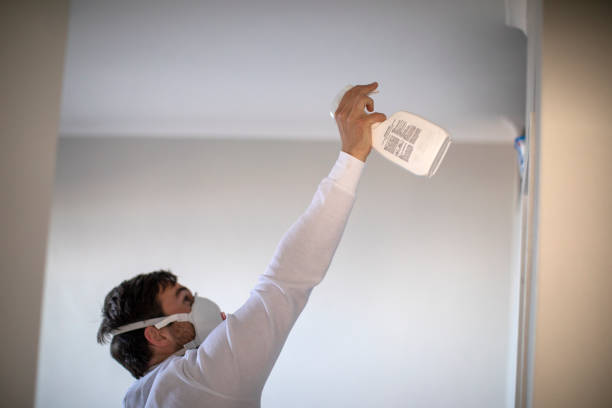 Best Local Mold Removal Service  in Camp Point, IL