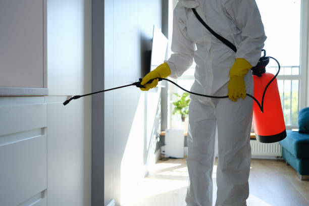 Best Affordable Mold Removal  in Camp Point, IL