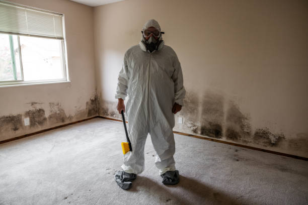 Crawl Space Mold Removal in Camp Point, IL